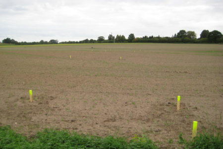 Abgestecktes Gebiet des B-Plans Nr. 8