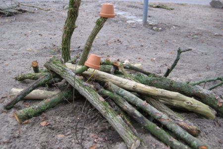 Totholzinsel als Lebensraum für Käfer und Insekten