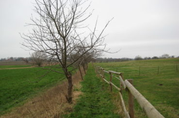 Anfang Des Nunmehr Gut Begehbaren Schulsteigs In Klempau Siedlung