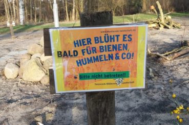 Klempauer Blühwiese