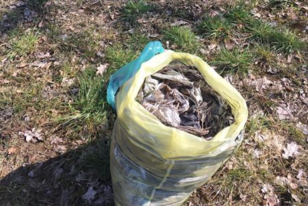 Gelber Sack gefüllt mit Silofolieresten