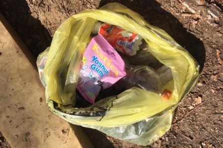 An der "wilden Radstrecke" im Wald am Kanal eingesammelt