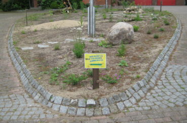 Bald Ein Paradies Für Hummeln, Bienen & Co: Das Wildblumenbeet Vor Dem Feuerwehrhaus