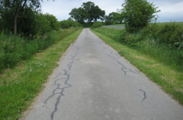 So Wird Es Künftig Nicht Mehr Aussehen: Bereits Anfang Juni Auf Weit Mehr Als 60 Cm Breite Gemähter Feldweg