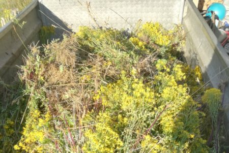 140 kg auf dem Hänger